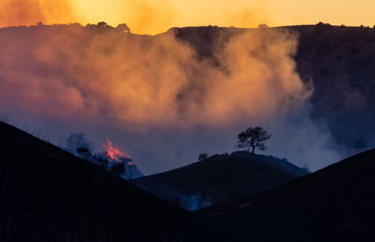 What We Know About the Suspected Arson Arrest Made Near the Kenneth Fire in L.A.