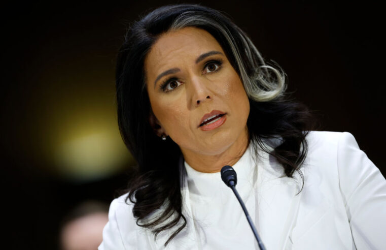 Gabbard’s Refusal to Call Snowden a Traitor Draws Pushback at Hearing to Be Intel Chief