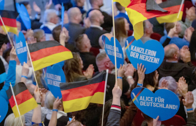 What to Know About German Far-Right Party AfD