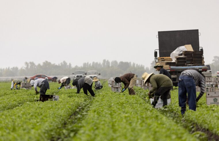 In child care centers and on farms, businesses are bracing for more immigration raids