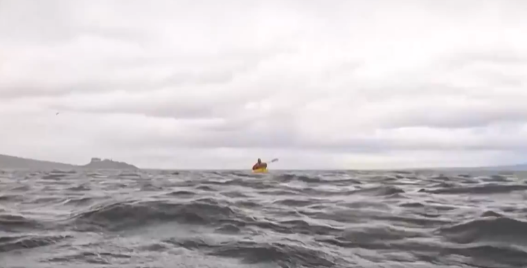 Did a whale swallow a kayaker? The truth behind the viral video