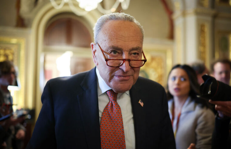 In Averting a Shutdown, Schumer Ignites a Rebellion